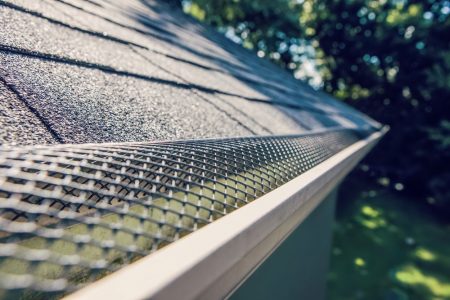 Rain Gutter Services in Micanopy, FL